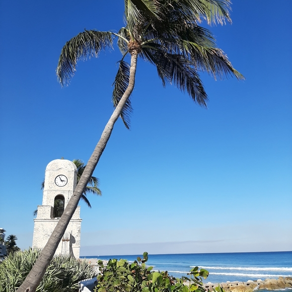 Meet your posher - Picture 4 of 5